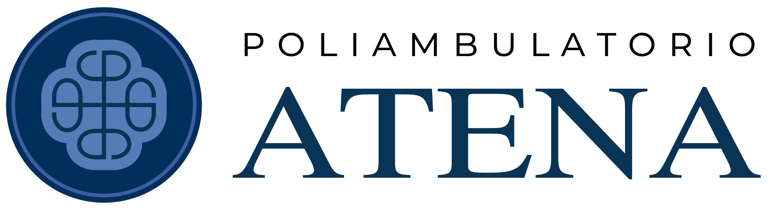 logo piatto orizzontale